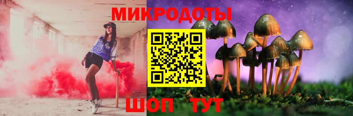 Галлюциногенные грибы Cubensis  Вход с VPN  Лесной 